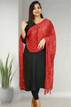 Pakistani Shawl