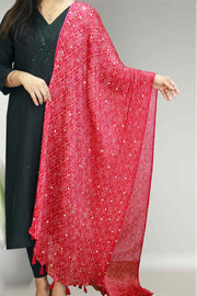 Pakistani Shawl