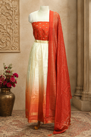 Traditional Gold Check Silk Dhavani Set