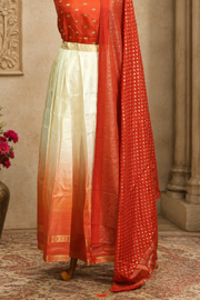 Traditional Gold Check Silk Dhavani Set