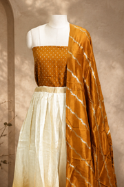 Traditional Gold Check Silk Dhavani Set