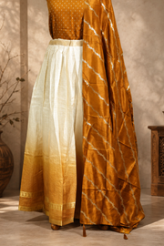Traditional Gold Check Silk Dhavani Set