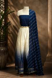 Traditional Gold Check Silk Dhavani Set