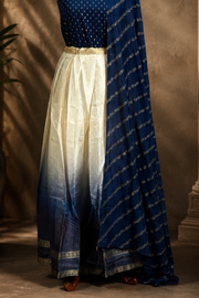 Traditional Gold Check Silk Dhavani Set